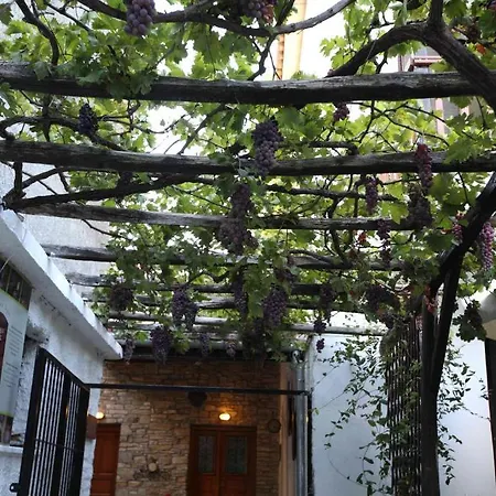 Mirto Apartment Afissos